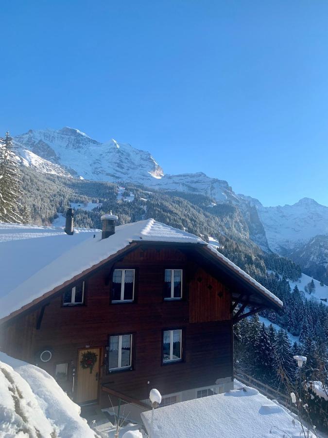 Chalet Aargovia Венген Екстер'єр фото